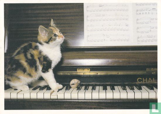 Katje op piano - Bild 1