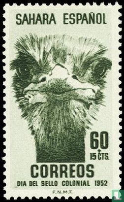 Struisvogel 