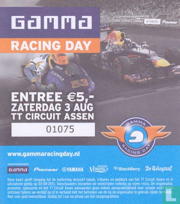 Gamma Racing Day 2013