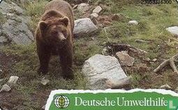 Deutsche Umwelthilfe : Braunbär - Puzzle 1/2 - Image 2