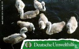 Deutsche Umwelthilfe : Höckerschwan - Puzzle 1/2 - Image 2