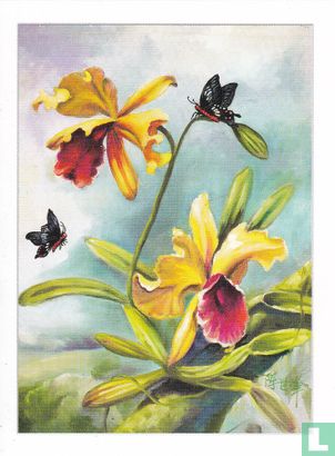 Bloemen: Orchidee