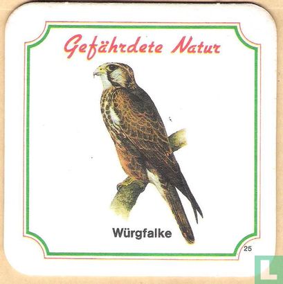 25 Würgfalke - Image 1