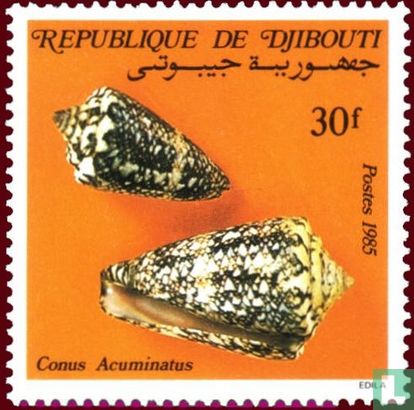 Shells