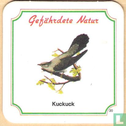 20 Kuckuck - Bild 1