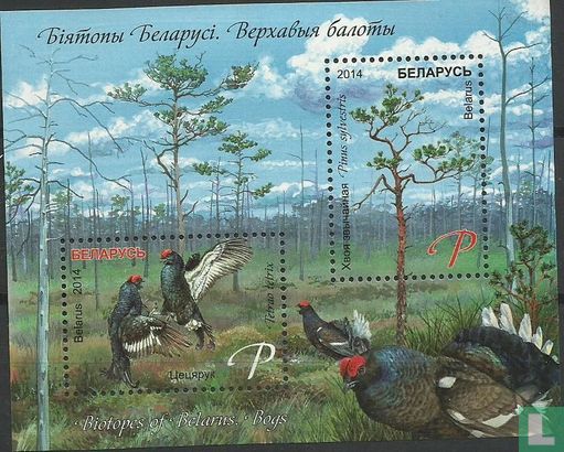Biotopes of Belarus. Bogs