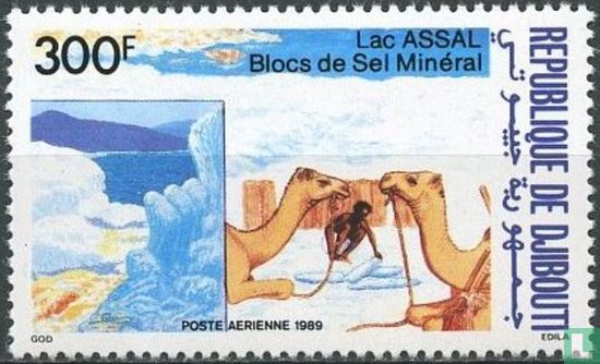 Assalmeer: blokken mineraal zout
