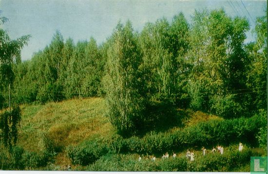 Park (1): Wandeling - Bild 1