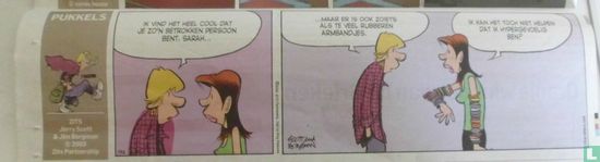 Pukkels - Afbeelding 2