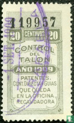 Control de Talon - Patentes (Provincie Corrientes) (20)