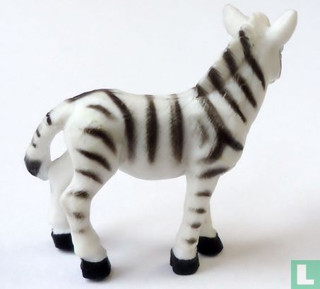 Zebra - Bild 2