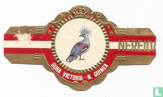 Gura Victoria - N. Guinea - Afbeelding 1