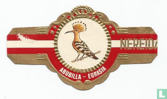 Abubilla - Eurasia - Afbeelding 1