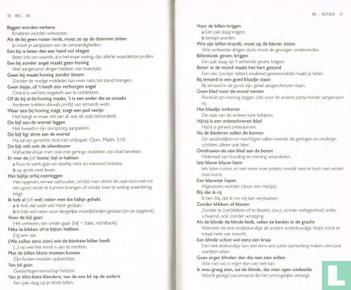 Spreekwoordenboek - Image 3