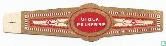 Viola Palmense - Afbeelding 1