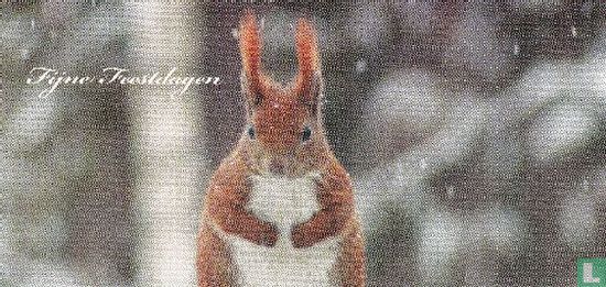 Dieren: Eekhoorn