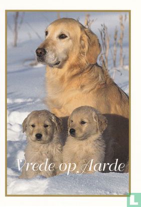 Vrede op aarde > Labrador met pups