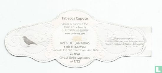 Cuervo - Image 2