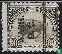 American buffalo