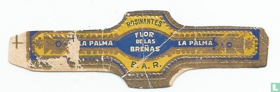 Rosinantes Flor de las Breñas B.A.R . - La Palma - La Palma - Afbeelding 1