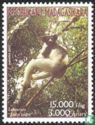 Lemur Indri Indri