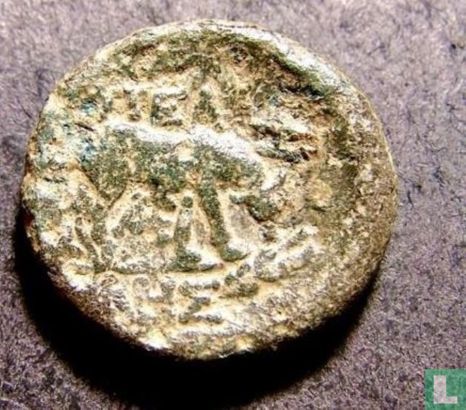 Ancient Greece  (Pella, Macedonia)  AE19  187 BC - Afbeelding 1