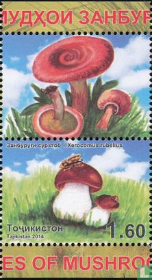 Champignons  