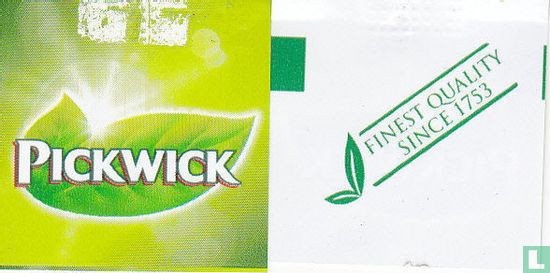 Green Tea, Cucumber Taste & Mint - Image 3