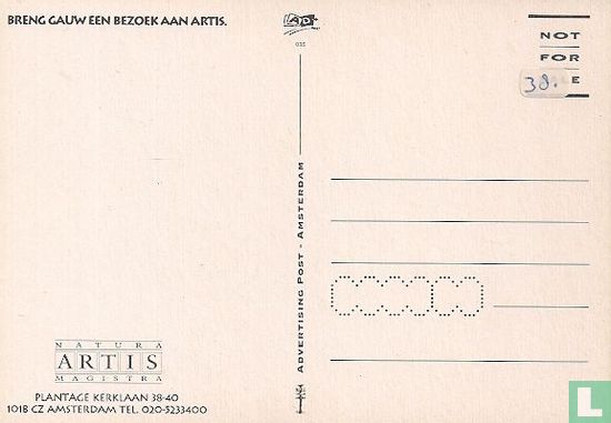 A000035 - Artis "Wish You Were Here" - Afbeelding 2