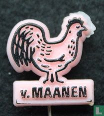 v. Maanen (poule) [noir sur rose]