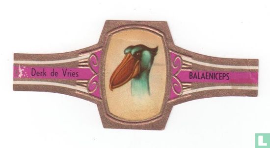 Balaeniceps - Afbeelding 1