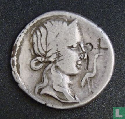 Empire romain, AR Denarius, 81 BC, Gens Titia, menthe ibérique - Image 1