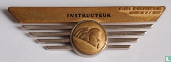 Air France - Wing Instructeur - Image 1