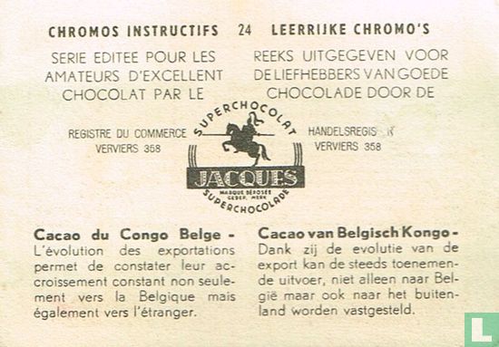 Cacao van Belgisch Kongo - Afbeelding 2