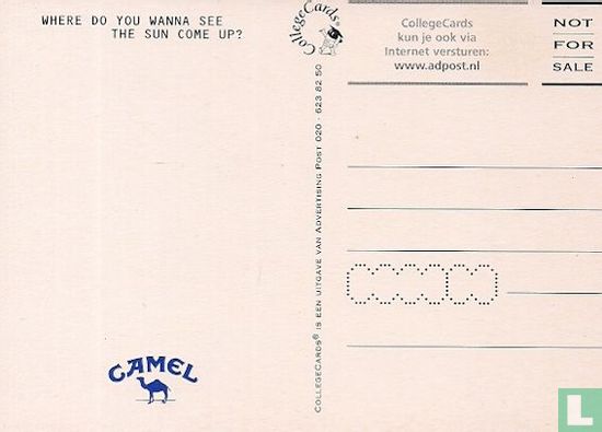 A000361 - Camel "Where Do You Wanna See..." - Bild 2