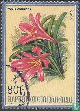Fleurs africaines