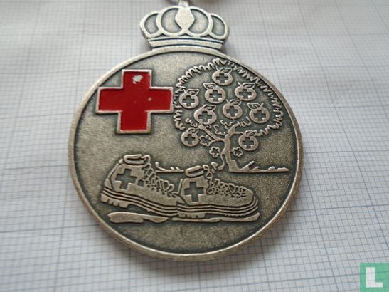 10e Nationale Rode Kruis Bloesemtocht Geldermalsen - Afbeelding 1