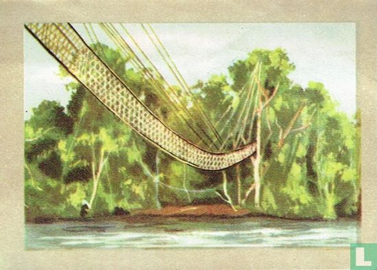 Lianenbrug in 't woud - Afbeelding 1