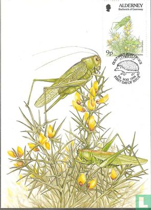 Flore et faune