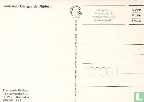 A000518 - Diergaarde Blijdorp ijsberen - Afbeelding 2