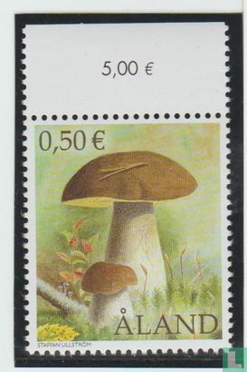 Native mushrooms - Image 2