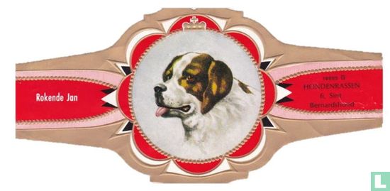 Saint Bernard Dog - Image 1