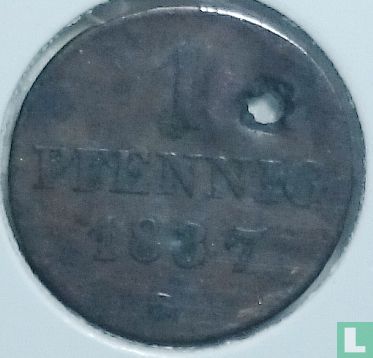 Saksen-Albertine 1 pfennig 1837 - Afbeelding 1