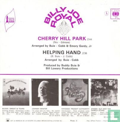 Cherry hill park  - Afbeelding 2