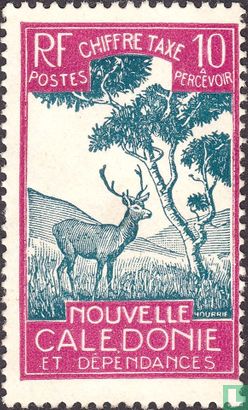 Deer and niaouli
