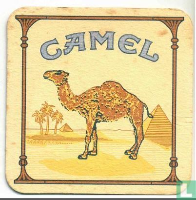 Camel - Image 2