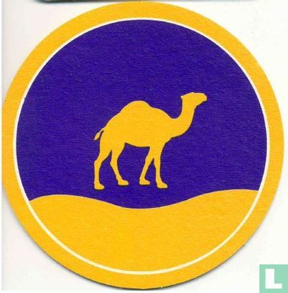 Camel  - Image 1