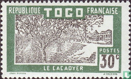 Cacaoyer