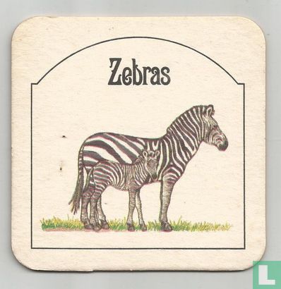 Zebras - Afbeelding 1