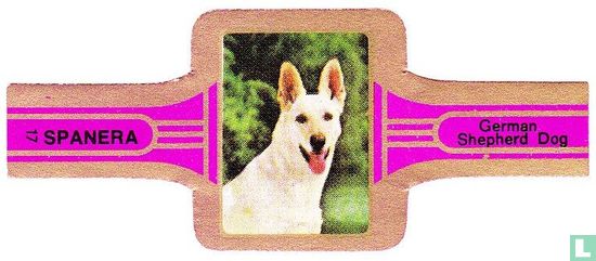German Shepherd Dog - Image 1